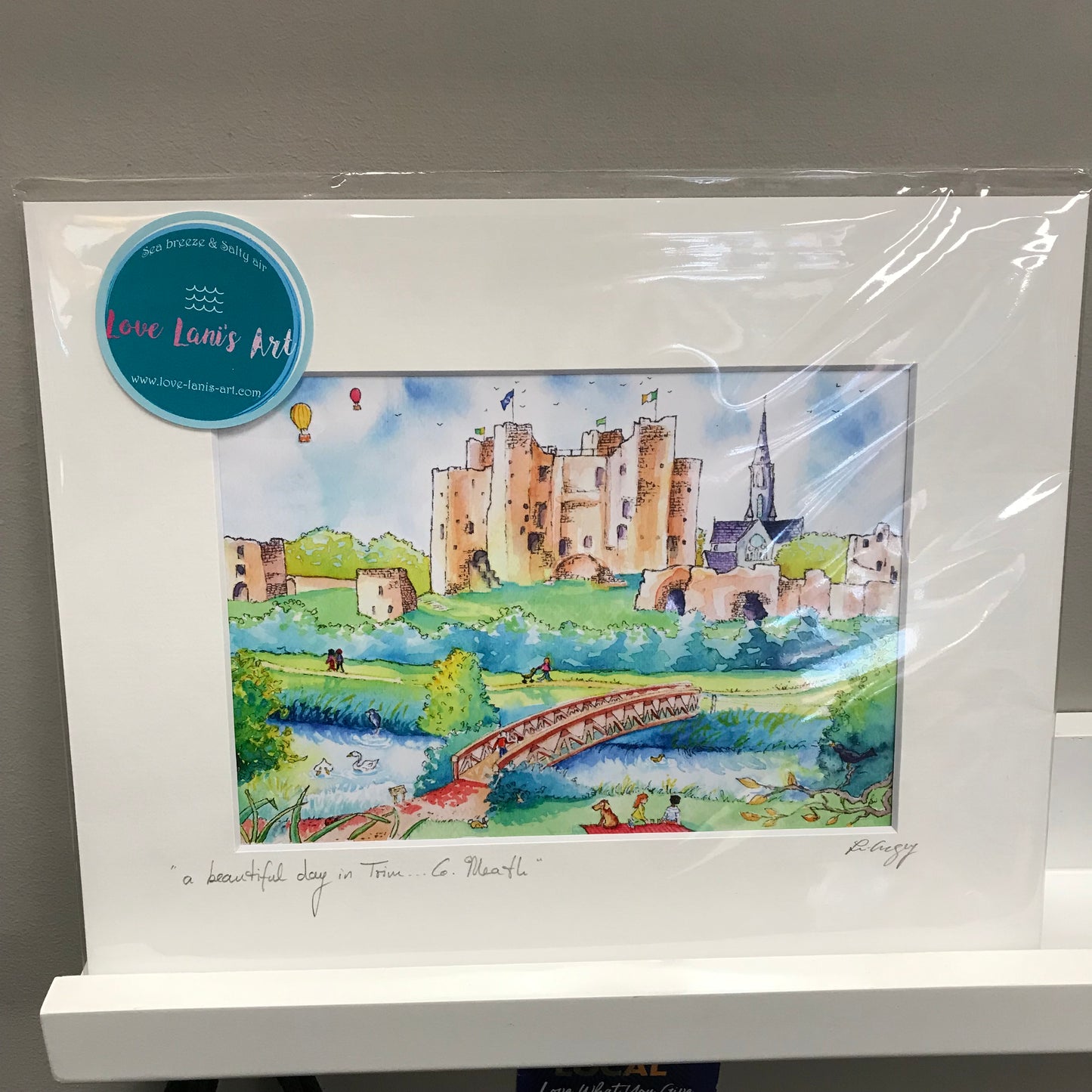 Trim Castle