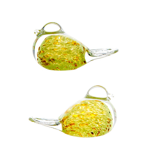 Glass Lovebirds Pair