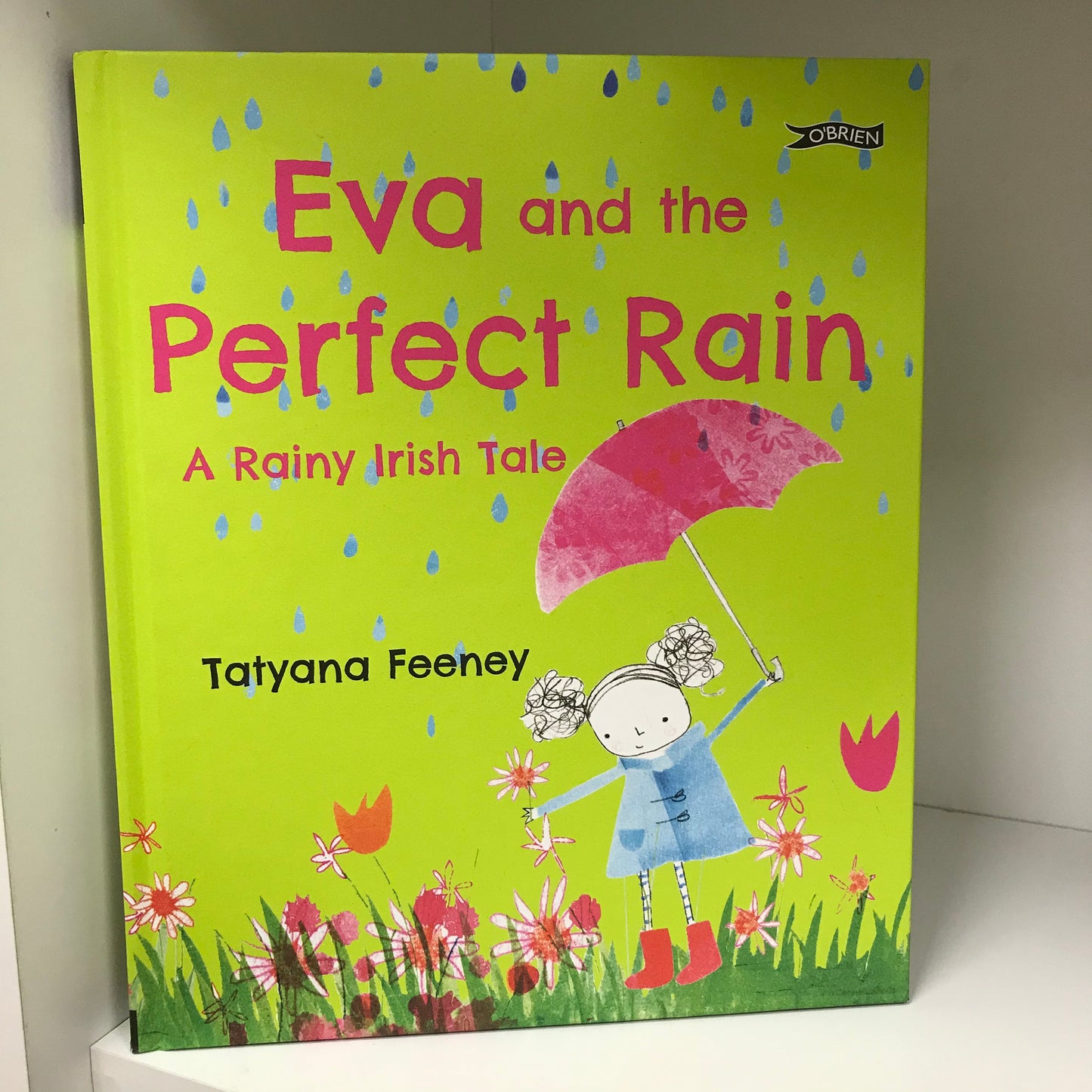 Eva and the Perfect Rain