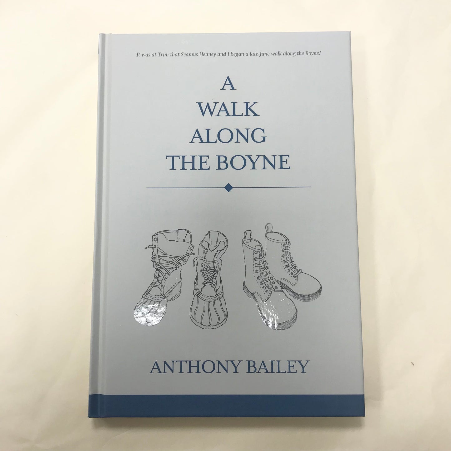 A Walk Along The Boyne